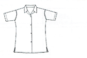 Style WSR6